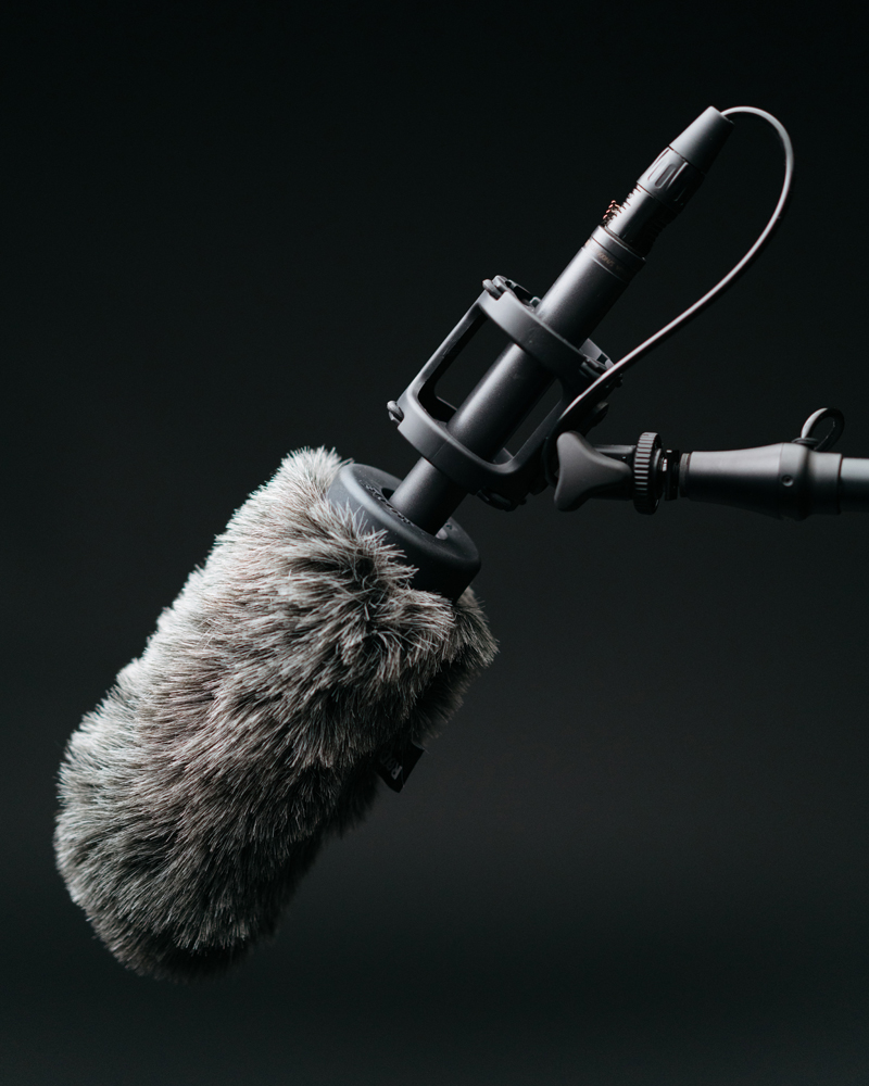 Microphone - generic